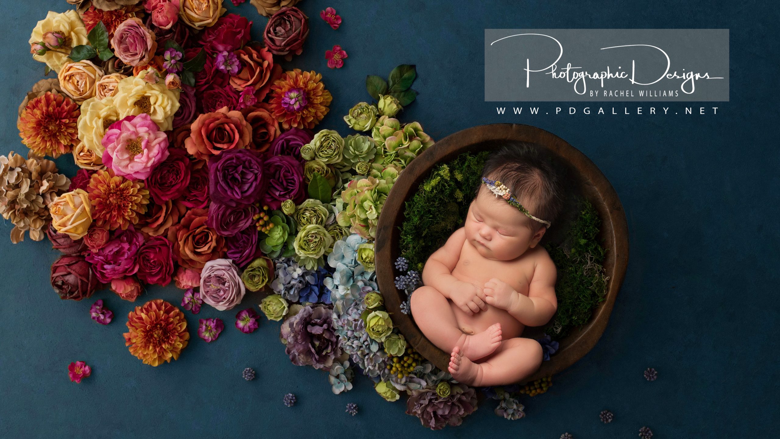 For All Of Your Tulsa Photography Moments